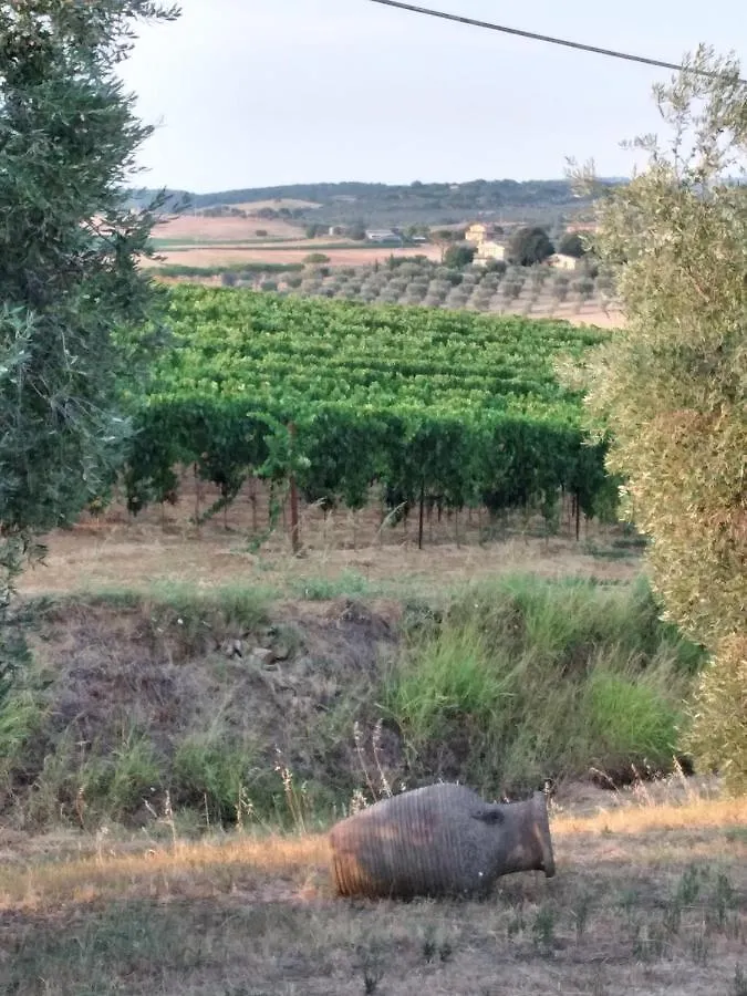 Agriturismo I Due Pini Magliano in Toscana Italy