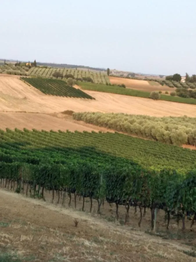 Agriturismo I Due Pini Magliano in Toscana Farm stay