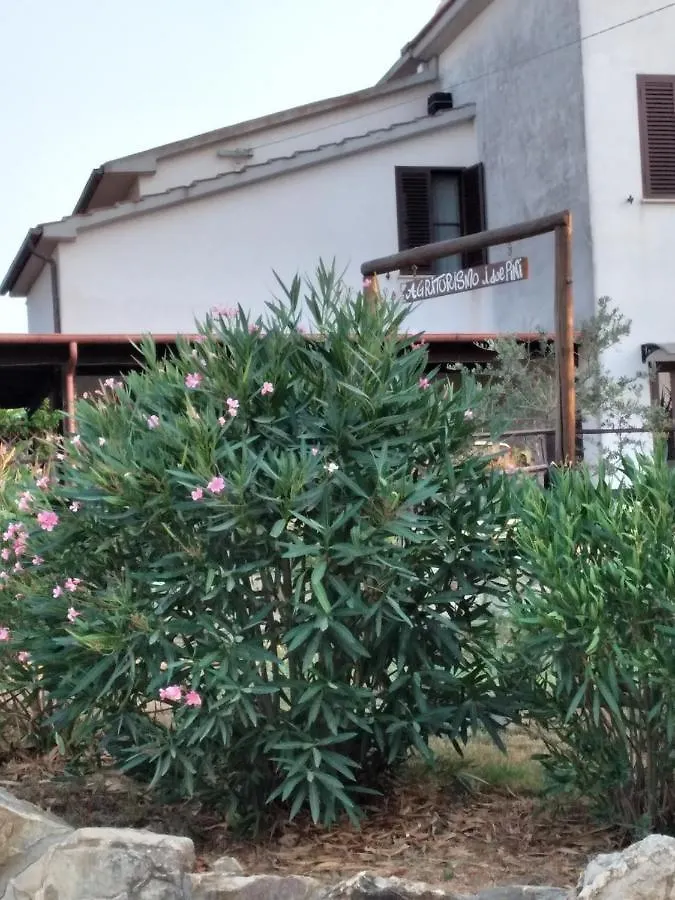 Farm stay Agriturismo I Due Pini Magliano in Toscana Italy