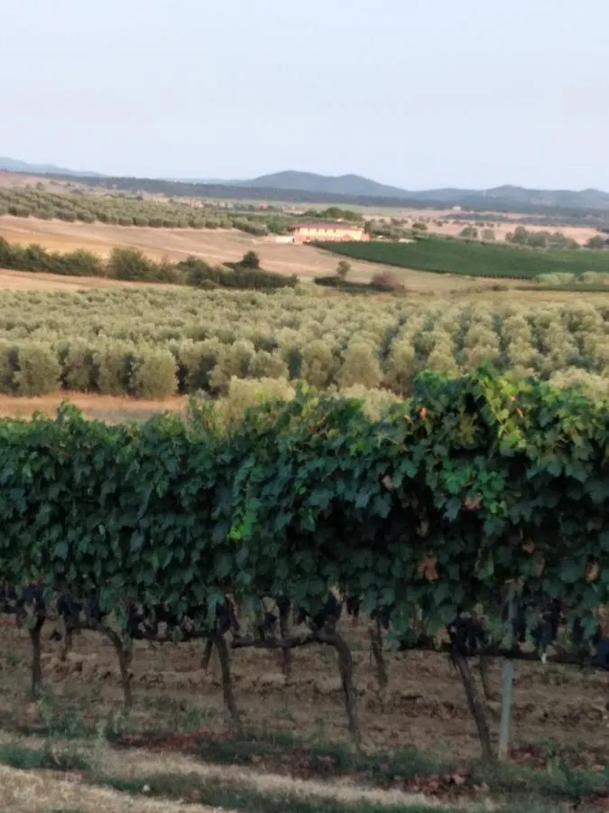 Agriturismo I Due Pini Magliano in Toscana
