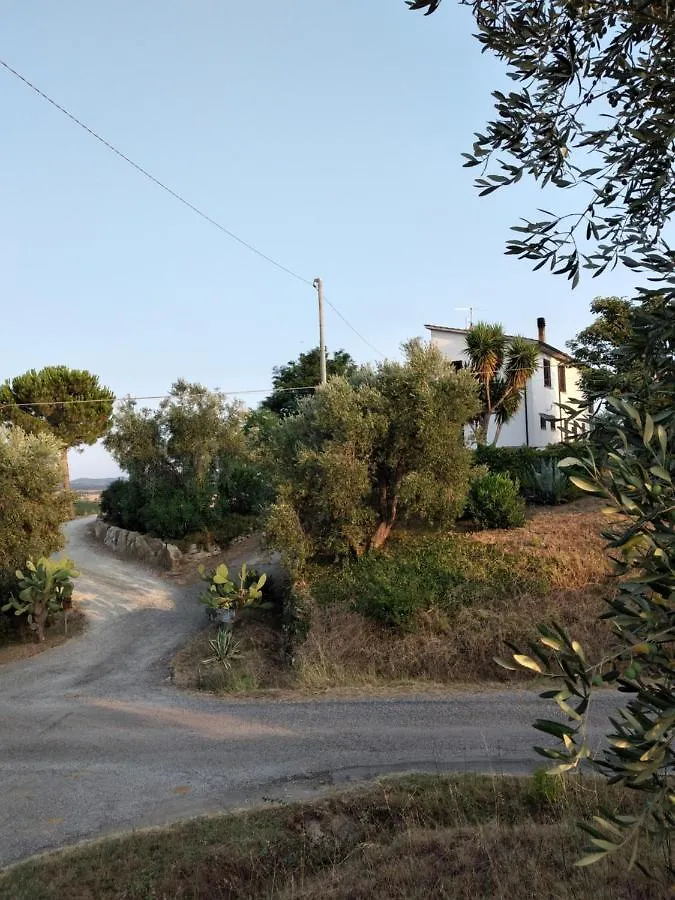 Farm stay Agriturismo I Due Pini Magliano in Toscana