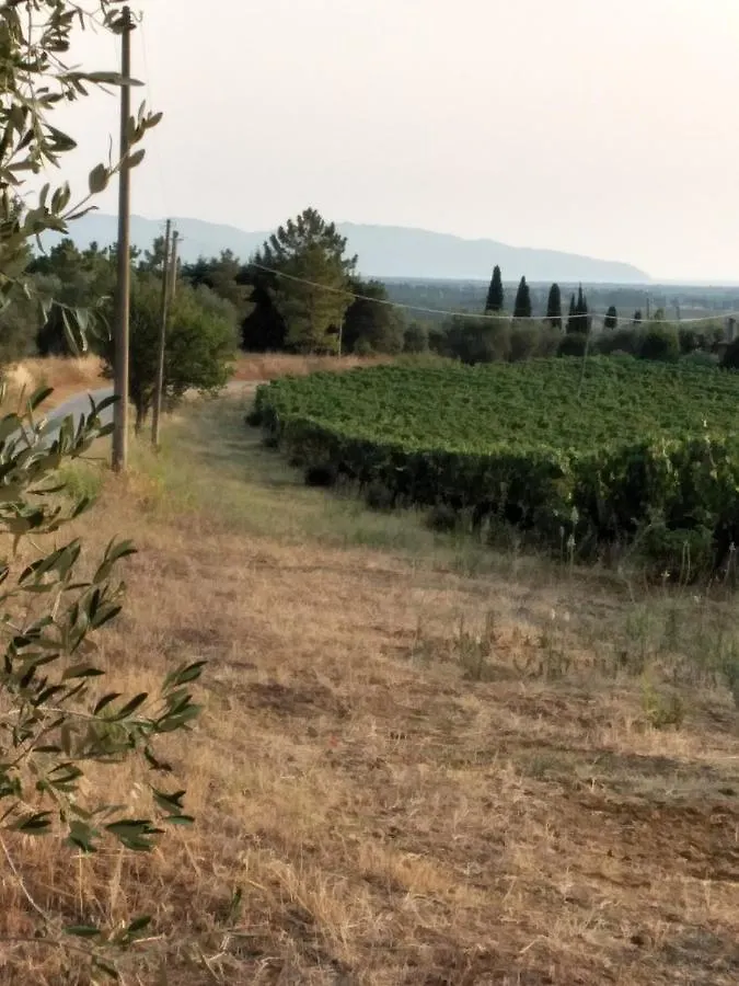 Agriturismo I Due Pini Magliano in Toscana