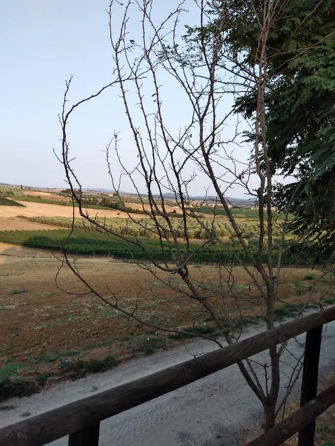Agriturismo I Due Pini Magliano in Toscana 0*,